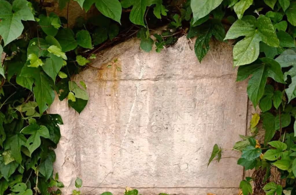 Roman necropolis headstone partially covered by ivy in Cavtat