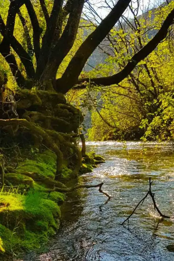 Tiered Manojlovac cascades framed by karst cliffs and greenery.