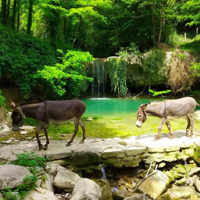 Waterfall in Glogorički Dol dropping over limestone ledges into a clear pool.