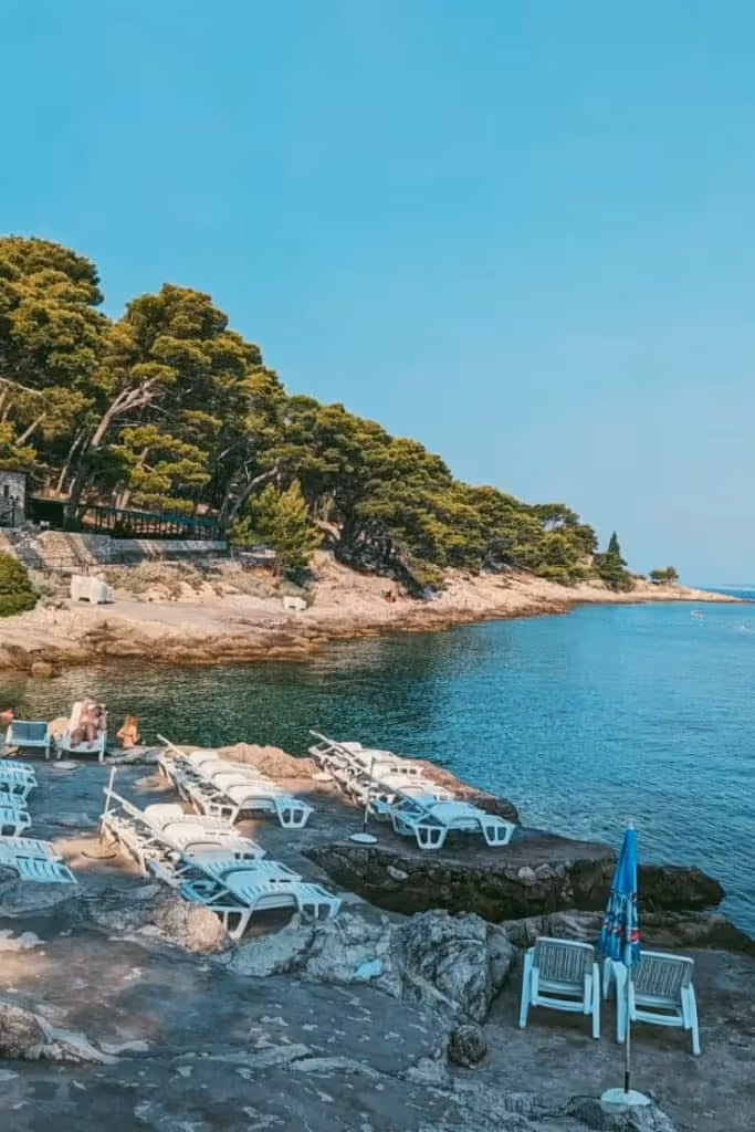 Rat Beach Cavtat under pine trees near peninsula