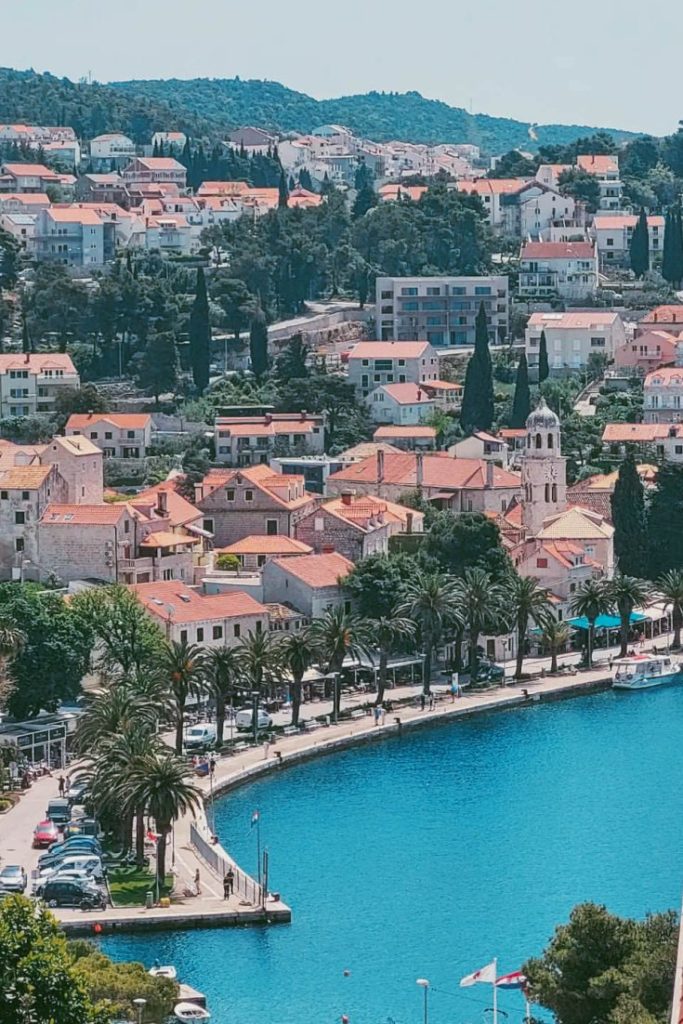 Cavtat promenade lined with palm trees and small boats
