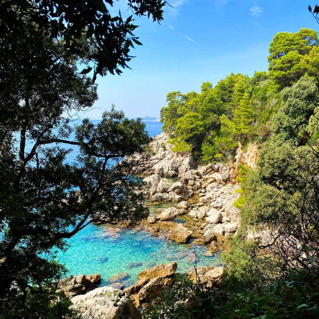 northern rocky shores of Lokrum Island, where lush green vegetation covers the top of the rocks