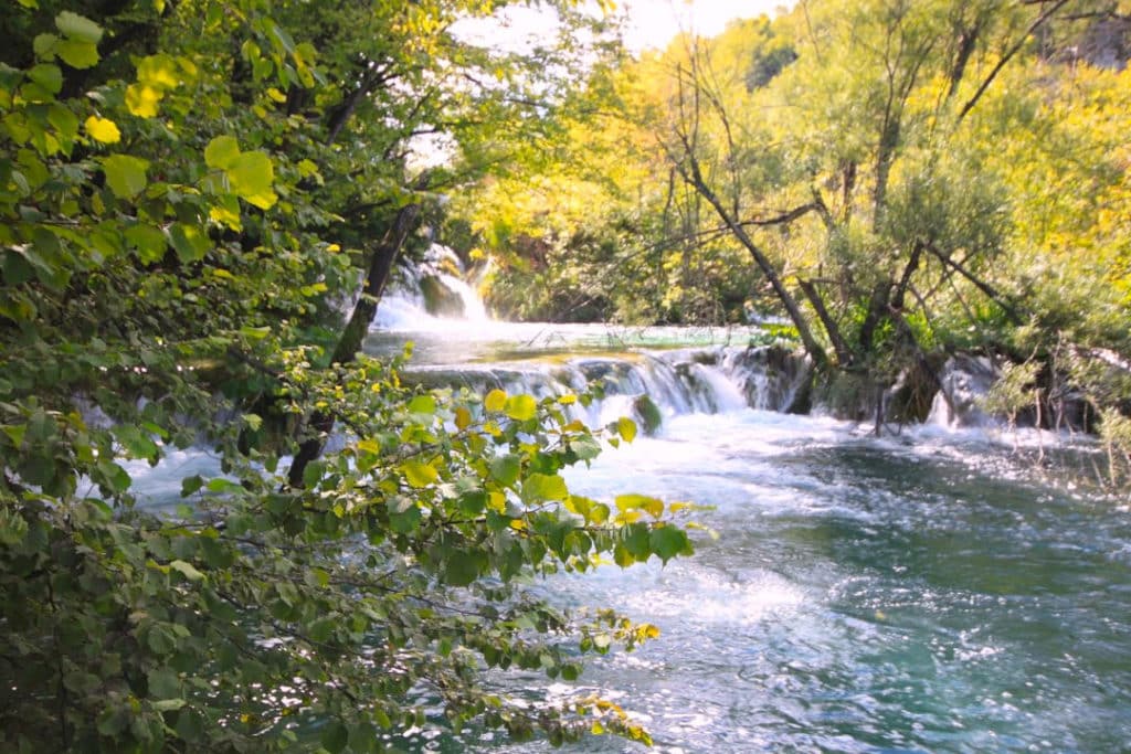 Milke Trnine Waterfalls are located in waterfall in Plitvice National Park.The river Korana water from Milanovac lake drops over the 6 meters high travertine waterfall.